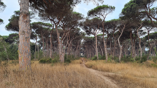 Antica villa Romana zona termale - Thumbnail