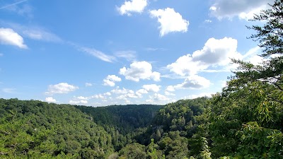 Fall Creek Falls Family Campground C