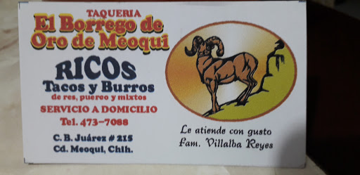 Borrego de oro de meoqui - Thumbnail