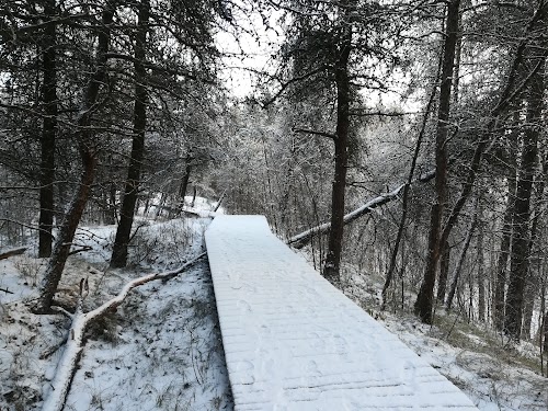 "Bumbu kalniņa" tornis