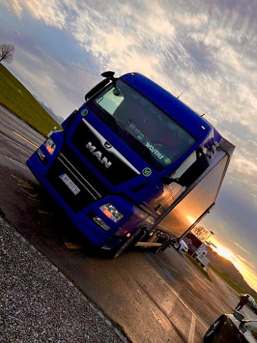 W W Transport Walerij Fiałkowski , MAGAZYN, TRANSPORT POLSKA- SZWAJCARIA - Przeprowadzka