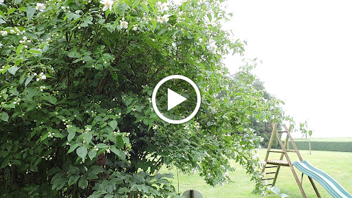 Photo de Au Domaine Des Camélias - Gîte et Chambres d'hôtes Morbihan à Pluméliau (56930)