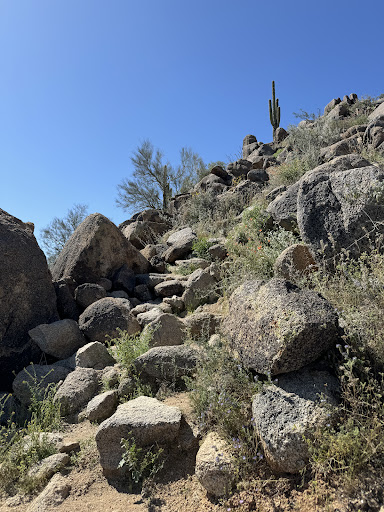 East Wing Mountain Trails - Thumbnail
