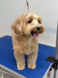 ペットホテル＆トリミングサロン ワンルーク大阪枚方市店