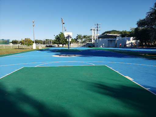 Estadio Gral. Salvador Alvarado - Thumbnail