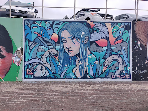 Bondi Murals