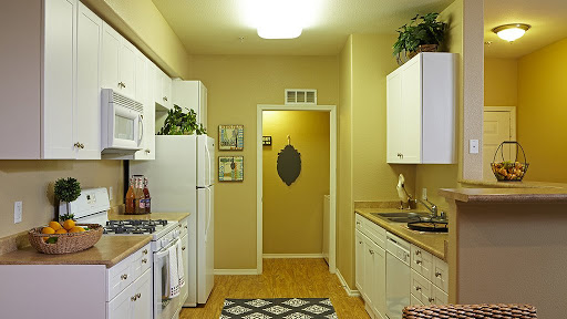 Park Central Apartments - Thumbnail