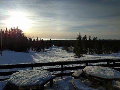 Photos of Lager&aring;kvisla