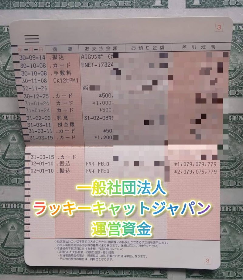 一般社団法人ラッキーキャットジャパン