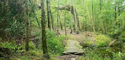 Mercer County Park East Picnic Area and Campground