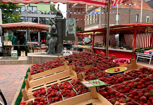 Wochenmarkt Lohne - Thumbnail