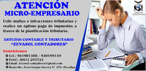 ESTUDIO CONTABLE Y TRIBUTARIO ZEVASOL CONTADORES 8