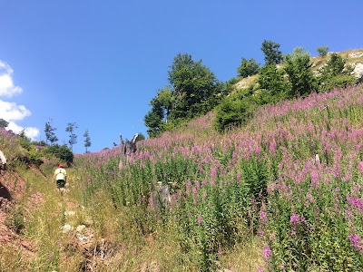 Bujtina Bashota- Guesthouse