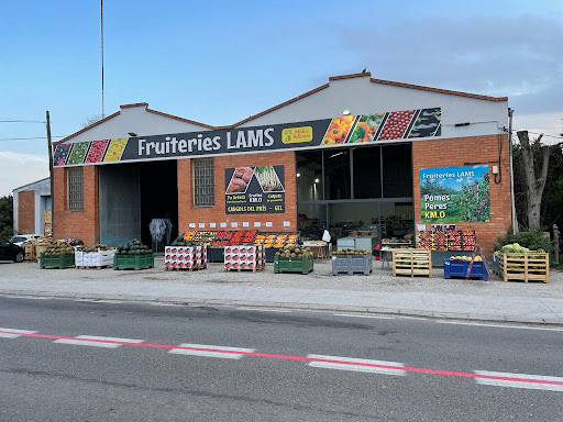 Fruiteries Lams - Visual