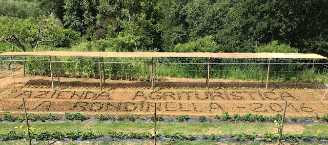 Agriturismo La Rondinella