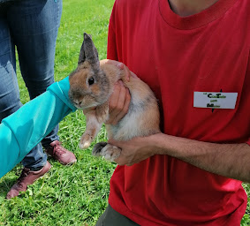 Photo n°9 de Ferme La contrée des minis à Hilbesheim (Ferme à visiter)