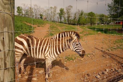 Lake Tobias Wildlife Park