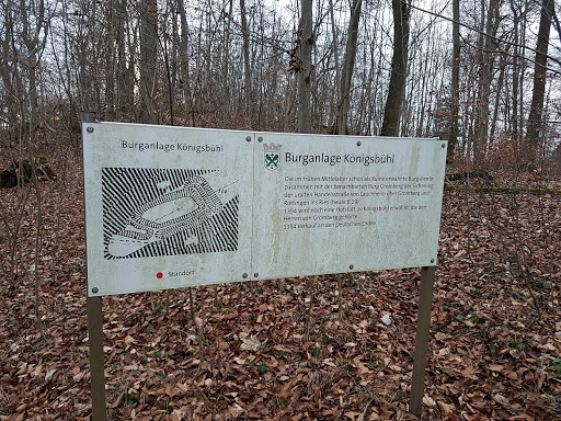 Burganlage Königsbühl Logo