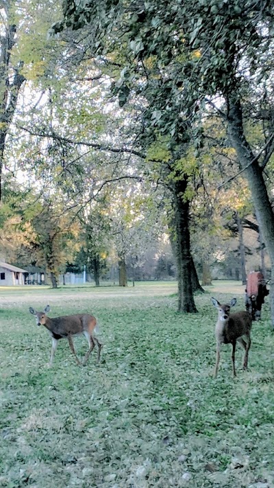 Crystal Lake Campground