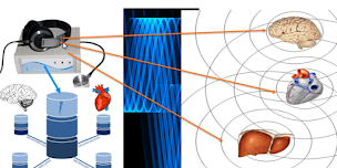 Photo n°6 de Cabinet Bioresonance Vichy à Vichy (Praticien de médecine alternative)