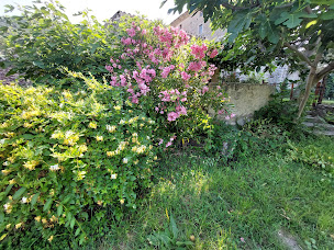 Photo n°7 de Chambre d'hôte la ferme des Auches à Venterol (Chambre d'hôtes)