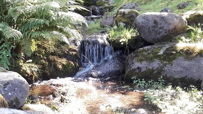 Photos of Japanese Garden in Kadriorg Park