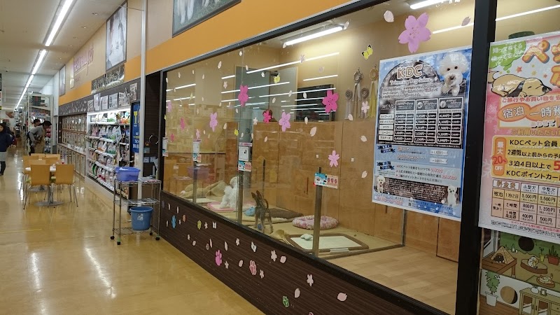 ハートフルペット川崎大師店 神奈川県川崎市中瀬 ペットショップ ペット グルコミ