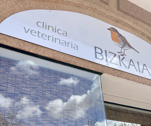 Clínica veterinaria Bizkaia Albaitaritza klinika