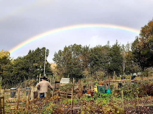 Harrop Road Allotments - Thumbnail