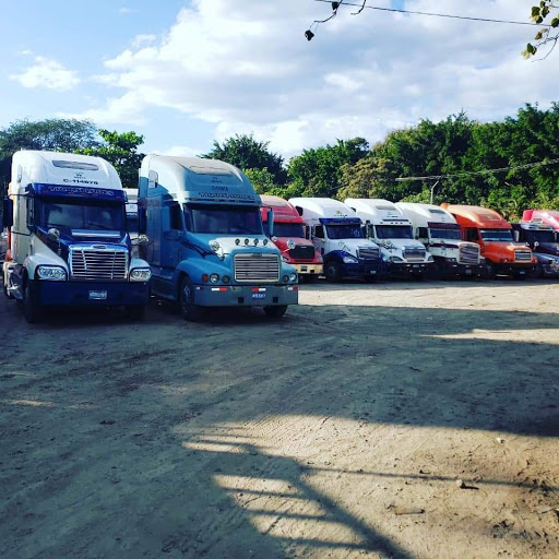 Transporte Flores SV02331