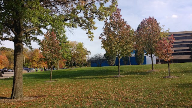 Wright State University