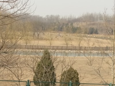 Photos of Nanhaizi Park
