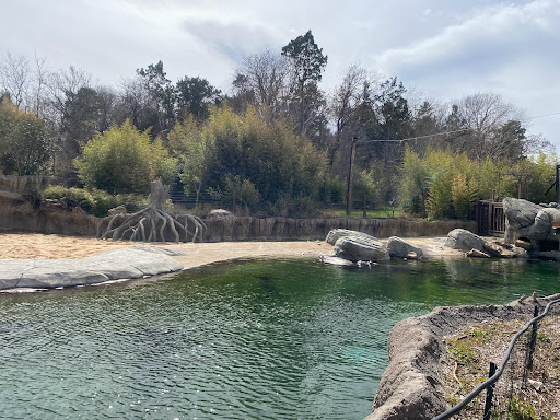 Simmons Hippo Outpost - Thumbnail