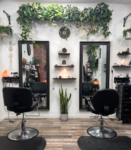 Shell & Co. Hair Design - Thumbnail