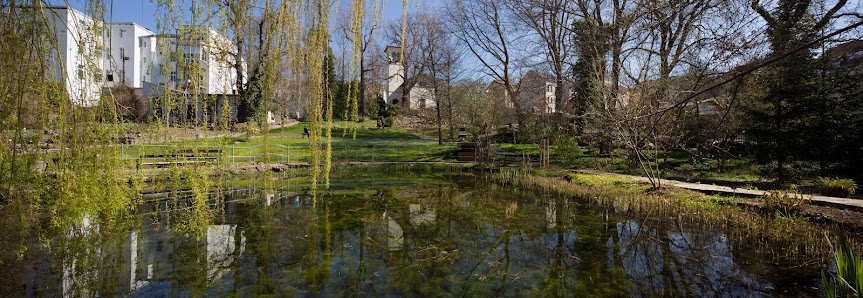 Botanischer Garten Gera Nicolaistraße 24, 07545 Gera, Deutschland
