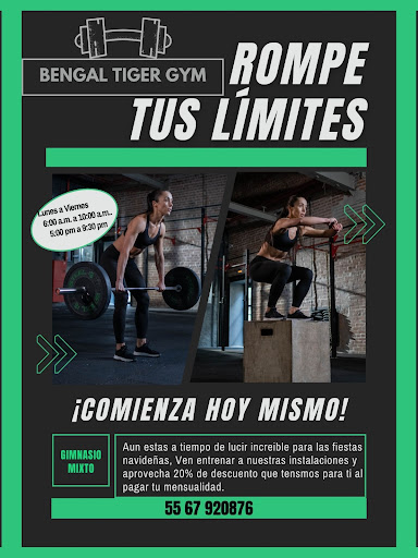 Bengal Tiger Gym - Thumbnail
