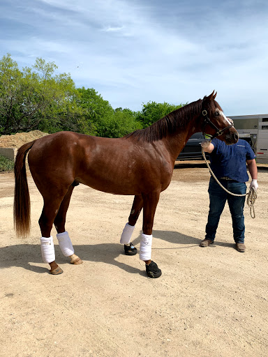 Retama Equine Hospital - Thumbnail