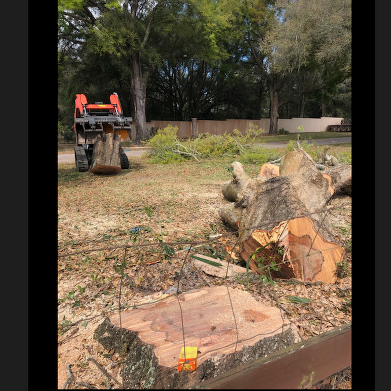 Walkers land clearing & tree service Tree Service