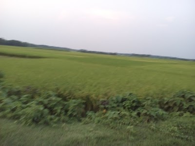 Photos of Ghona Matpara
