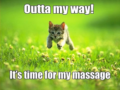 Body Mechanics Massage Therapy - Thumbnail