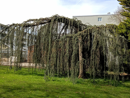 Alpine Botanical Garden of Meyrin Gallery - France
