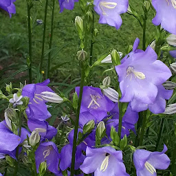 Photo n°25 de chambres d'hôtes d'Etrée à Magny (Hôtel)