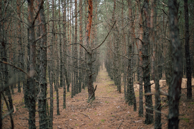 Portret Naturalny Olena Herasym - Wołomin