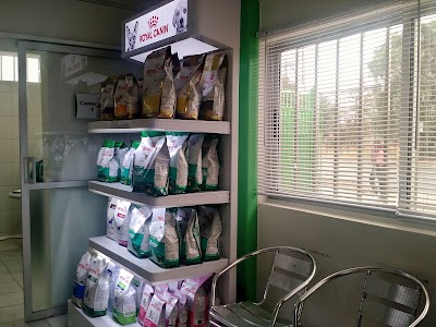 Photos of Pet veterinary help