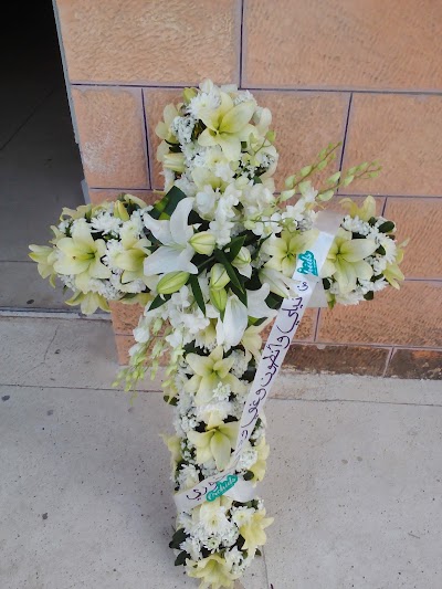 Photos of Umm alHiran Christian Cemetery