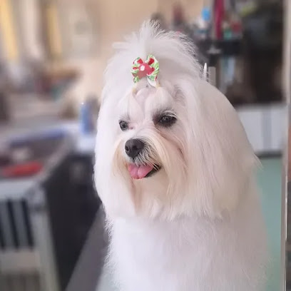Peluquería Canina La Del Estadio