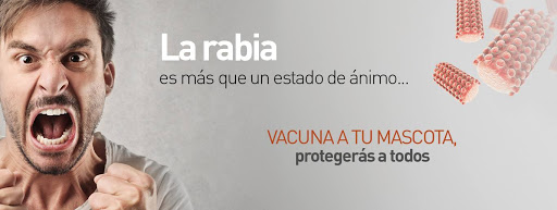 Colegio Oficial de Veterinarios de Zaragoza - Thumbnail