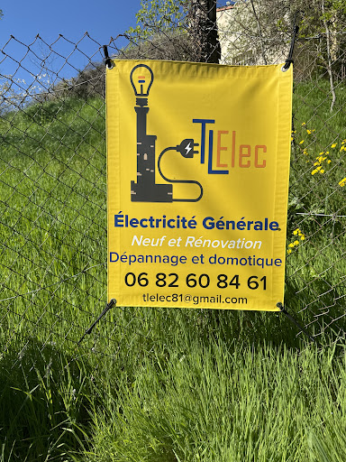 TLElec - Visual