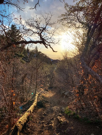 Adams Canyon Bridge Campground