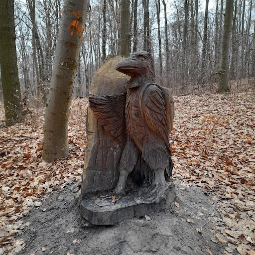 Garnbacher Rabenswald e.V. - Thumbnail